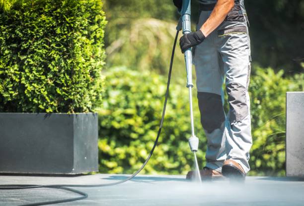 Animal Enclosure Cleaning in Parkersburg, WV
